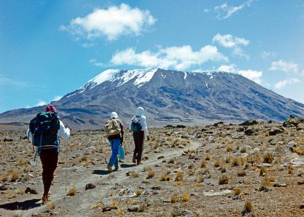 Trekking Mount Kilimanjaro