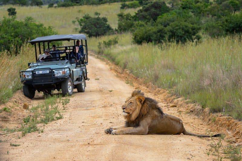 on a game Drive SAFARI WITH ME